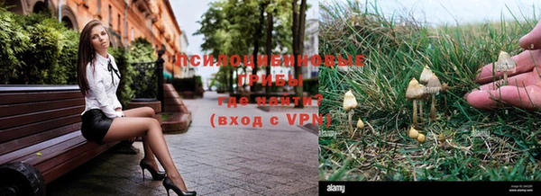 прущие крисы Алексеевка