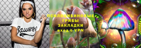 прущие крисы Алексеевка