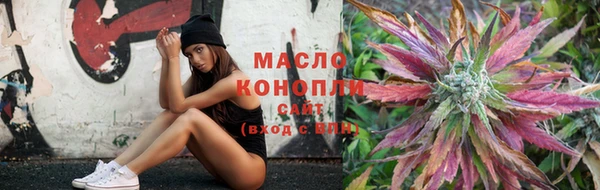 скорость Алзамай