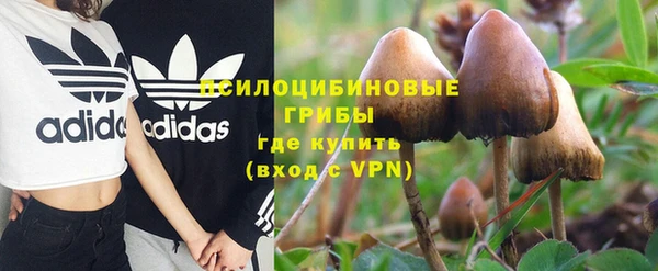 прущие крисы Алексеевка