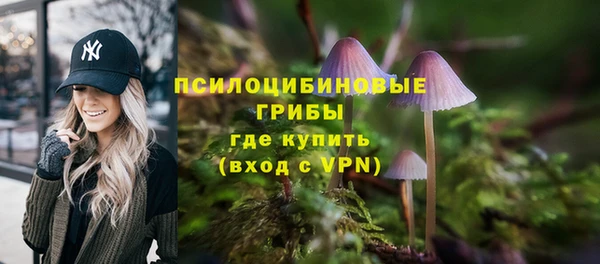 скорость Алзамай